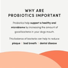 Additional picture of PlaqueBusters Advanced Probiotics 10pk