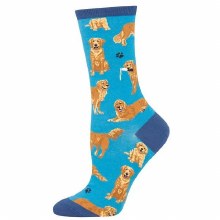 Socks- Golden Retrievers