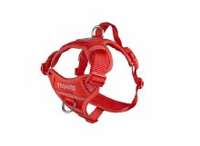 Momentum Harness M Goji Berry