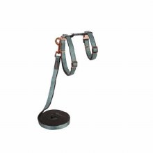 Harness-Cat Blue w Leash