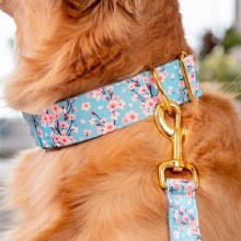 Additional picture of TFH Collar L Cherry Blossoms