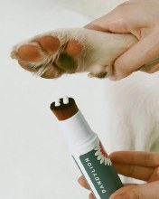 Additional picture of Dandylion Soft Paws 20ml Tube