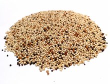 Finch Mix 4kg