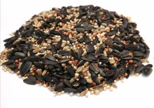 Wild Bird Mix 4kg