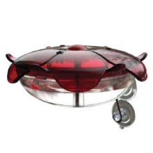 Hummingbird Feeder - Ruby Sipper Window