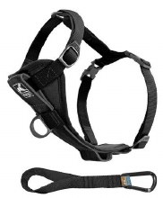 Kurgo Tru-Fit Auto Harness L