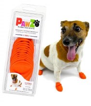 Paws Boots XS