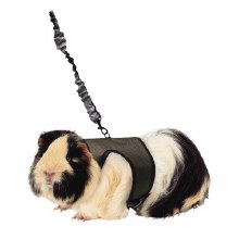 Comfort Harness With Stretch Lead L