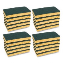 Medium-Duty Scrubbing Sponge