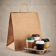 Paper Shopping Bags w/ Twisted Handles