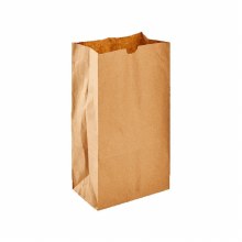 6 lb Paper Bag