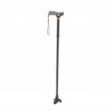 Stand-Up Black Cane