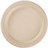 Bagasse Compostable Plates 9'