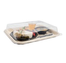 14x18 Clear Lid-Case