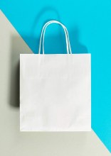 White Paper Bag with Handles