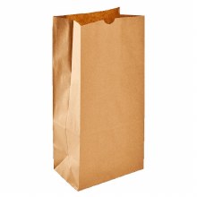 8 lb Paper Bag-Case