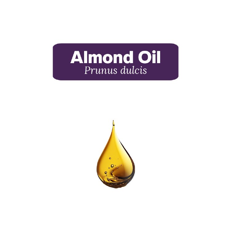 Almond Oil Sample, 5 Drops