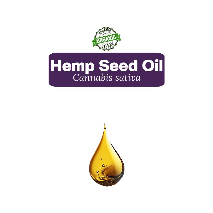 Hemp Seed Oil Sample, 5 Drops