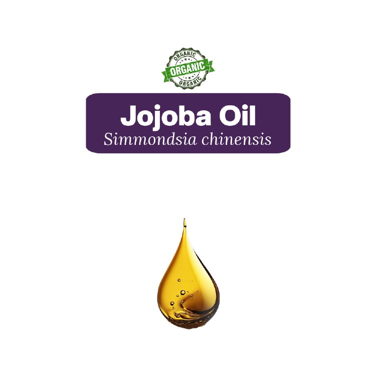 Jojoba Oil Sample, 5 Drops