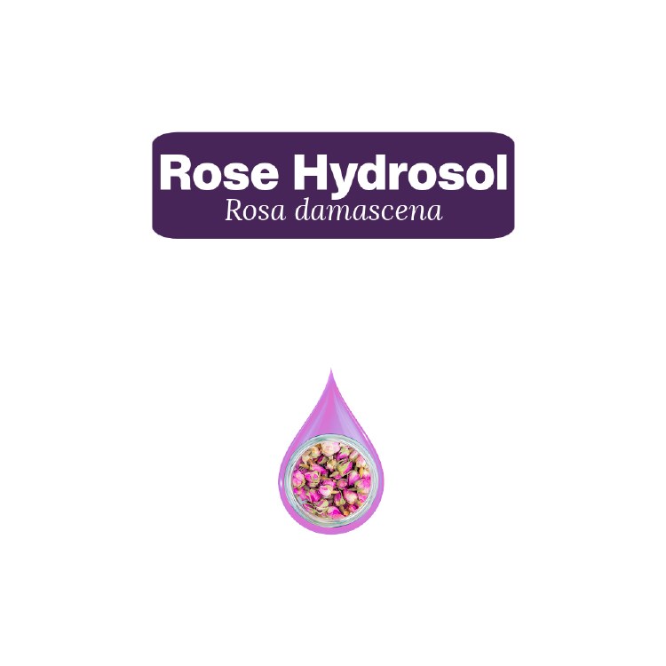 Rose Hydrosol Sample, 10 Drops