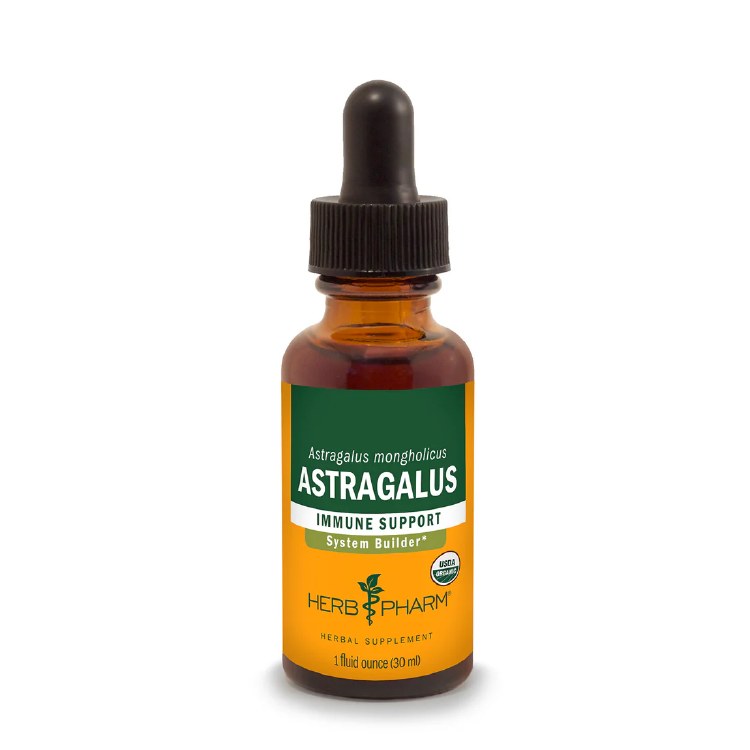 Astragalus Extract