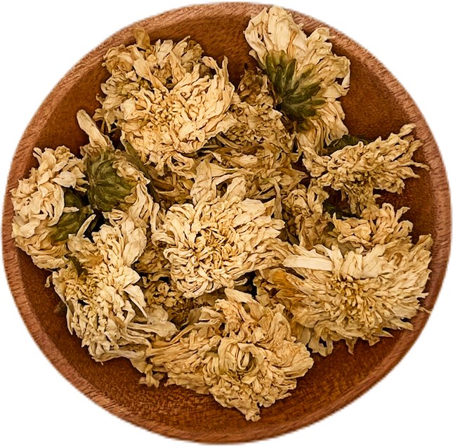 Chrysanthemum Flowers White Organic