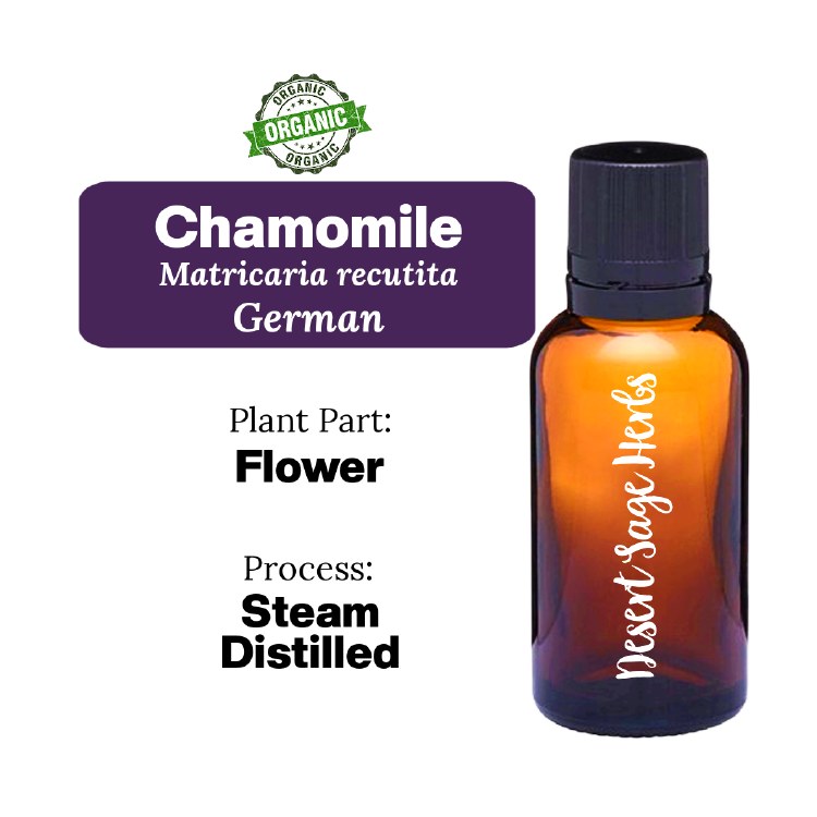 Chamomile German Sample