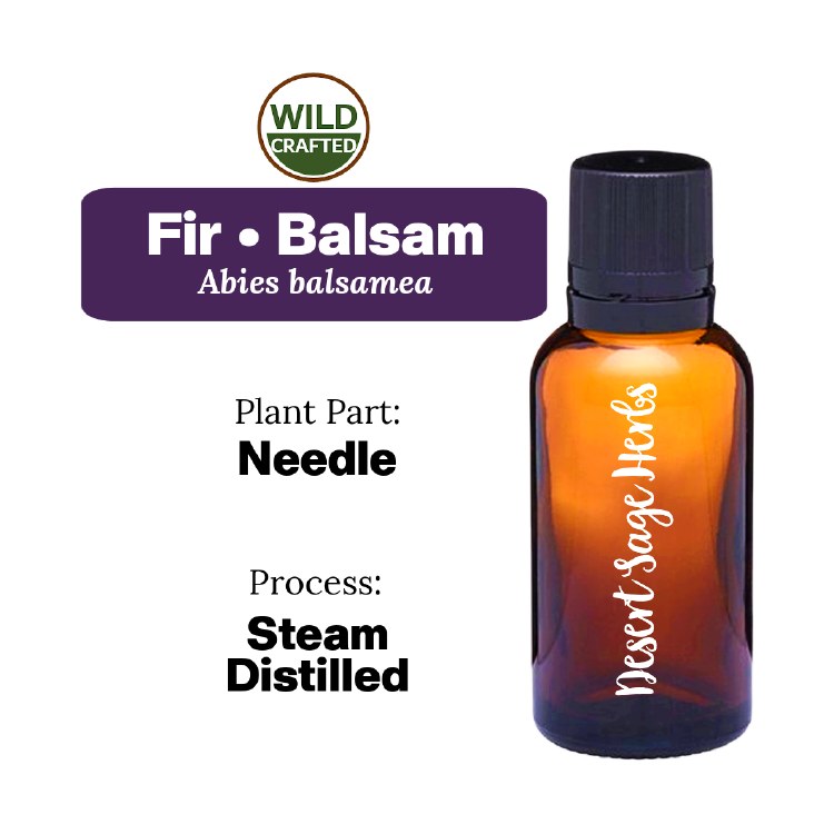 Fir Balsam Sample