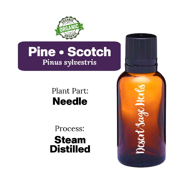 Pine Scotch 1/2oz