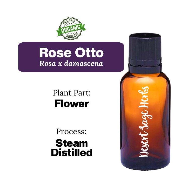 Rose Otto Sample