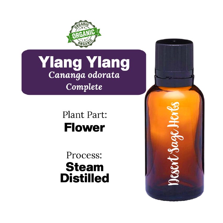 Ylang Ylang Complete 5/8 Dram