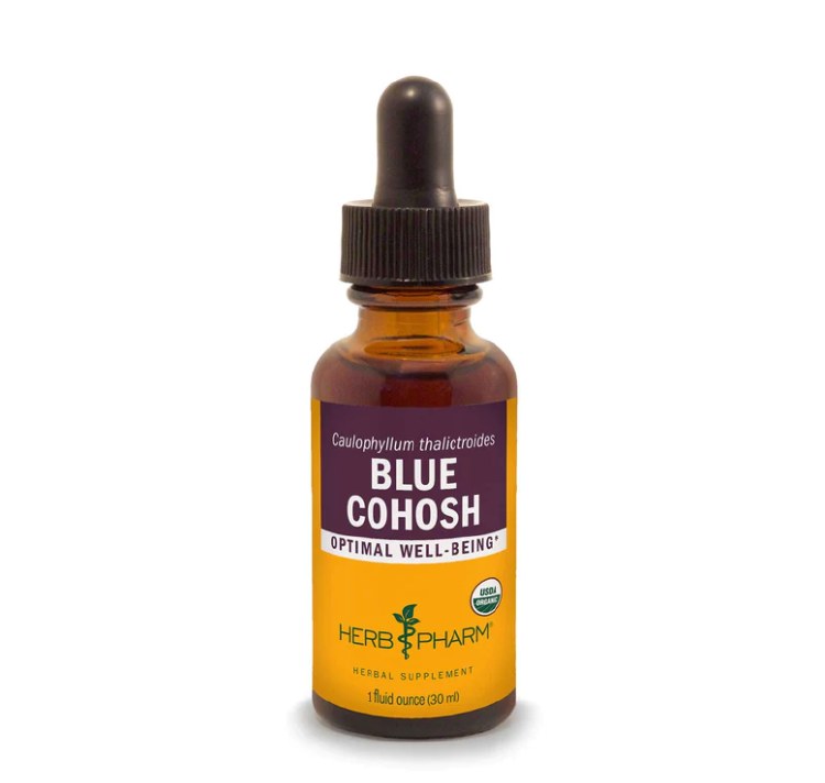Blue Cohosh Extract
