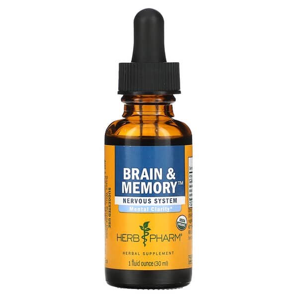 Brain & Memory