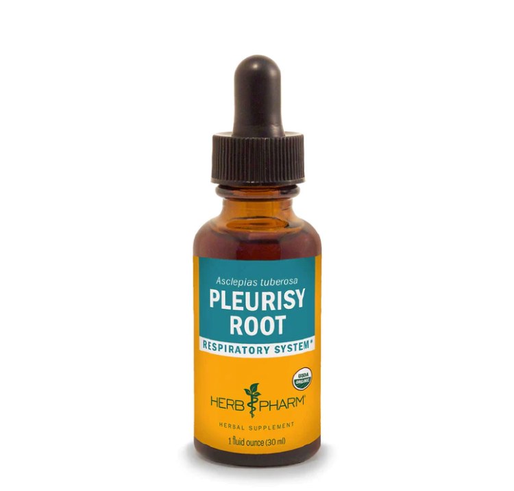 Pleurisy Root Extract