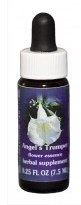 Angel's Trumpet Flower Essence