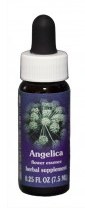Angelica Flower Essence