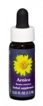 Arnica Flower Essence
