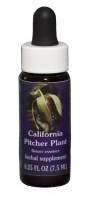 California Pitcher Plant Flower Essence