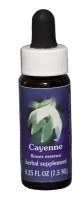 Cayenne Flower Essence