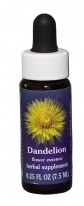 Dandelion Flower Essence