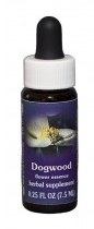 Dogwood Flower Essence