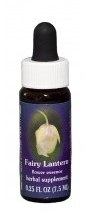 Fairy Lantern Flower Essence
