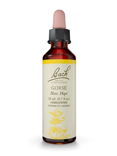 Gorse Flower Essence