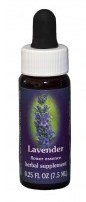 Lavender Flower Essence