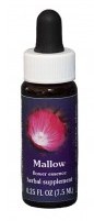 Mallow Flower Essence