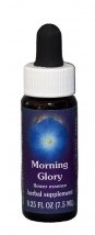 Morning Glory Flower Essence