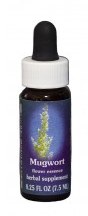 Mugwort Flower Essence