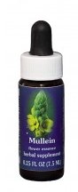 Mullein Flower Essence