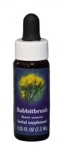 Rabbitbrush Flower Essence