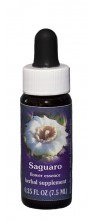 Saguaro Flower Essence